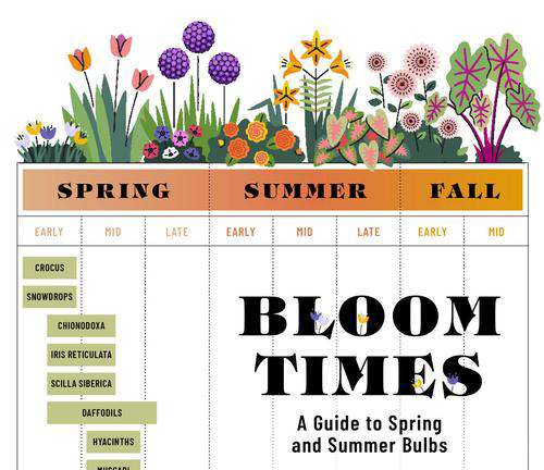Bloom times for spring and summer bulbs